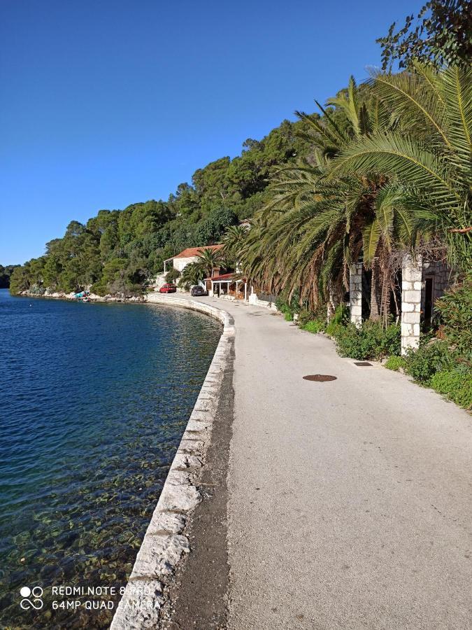 Mljet Sunset Apartments Pomena Εξωτερικό φωτογραφία